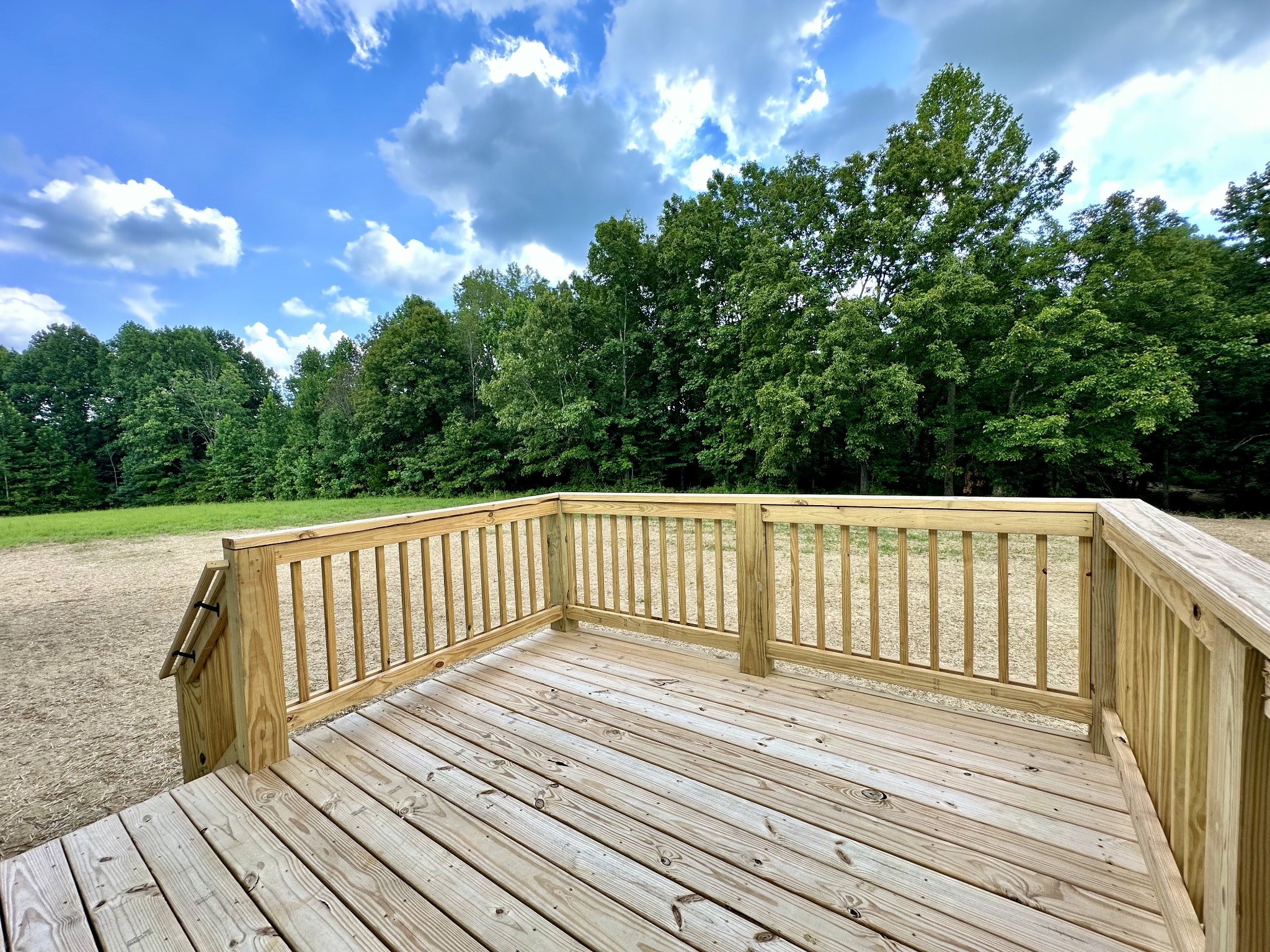 1667 Rabe Coats Road Westmoreland, TN 37186 - Photo 7 of 20 a view of outdoor space with deck and yard