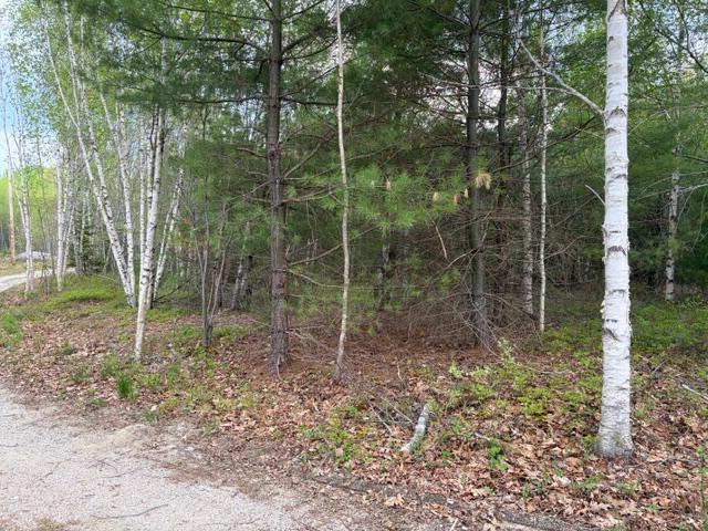 Lot #8 Thayer Road Ellsworth, ME 04605 - Photo 4 of 4 IMG_6871