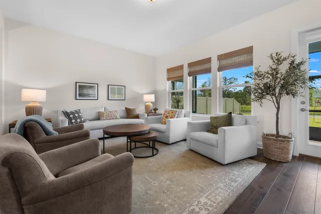 a living room with furniture and a potted plant