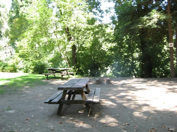 a view of a backyard with table and chairs and a tree