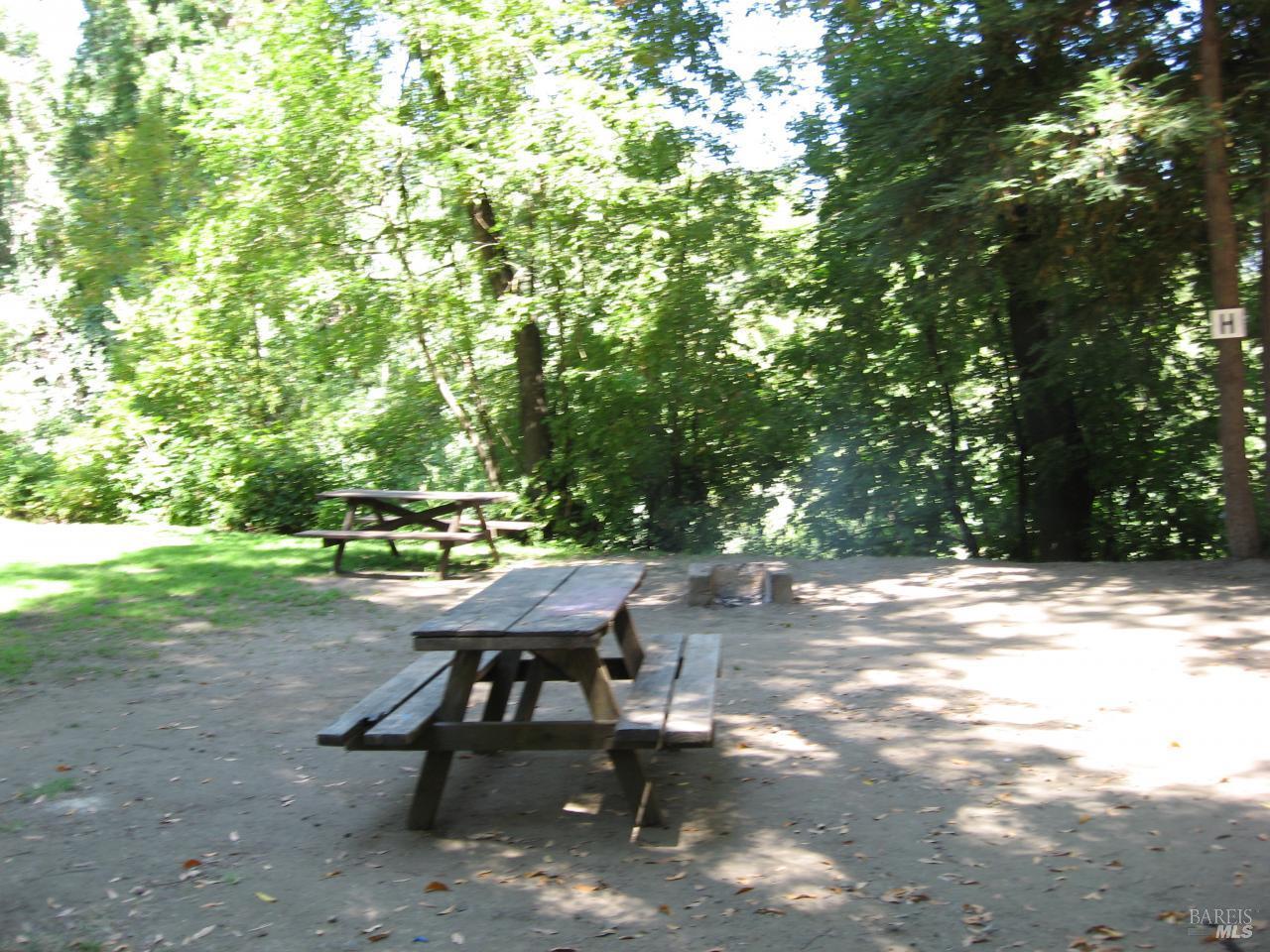 8400 River Road Forestville, CA 95436 - Photo 4 of 6 a view of a backyard with table and chairs and a tree