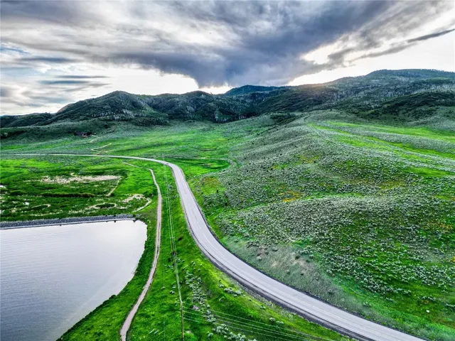 a view of a garden with a large trees
