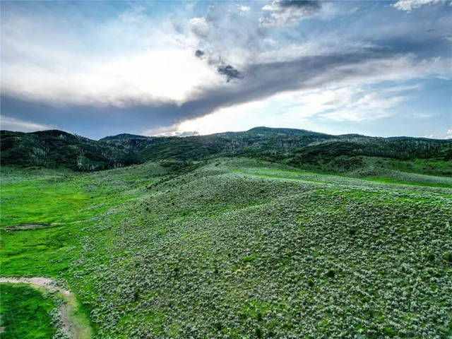a view of a lush green outdoor space with a lake view