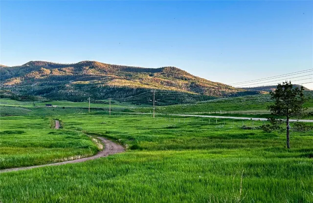 a view of a grassy field with an trees
