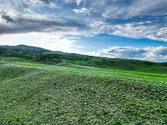 a view of a green field with lots of green space