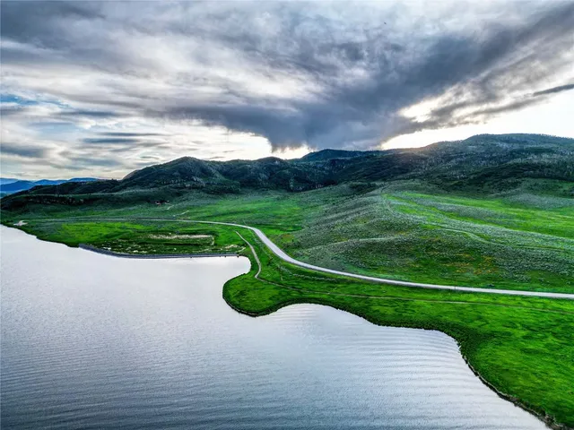 a view of a park with large trees