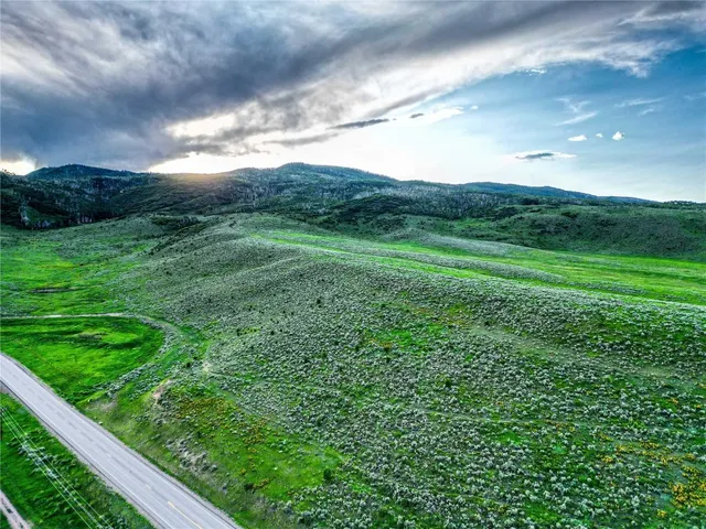 a view of a lush green space
