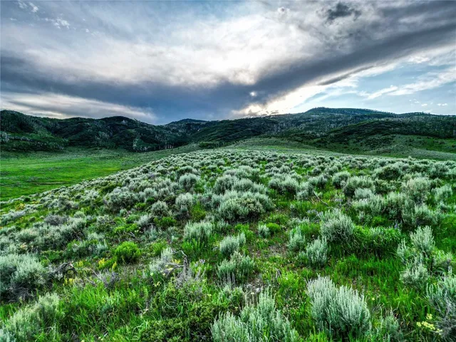 a view of a green field with lots of green space