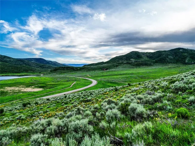 a view of a big green field with lots of green space