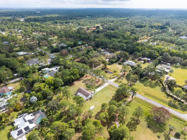 a close up of a tree