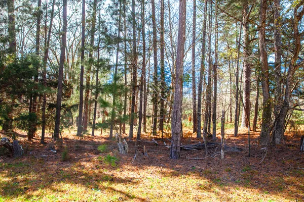 $180,000 | Lot 7 Mistletoe Road, Appling, GA 30802