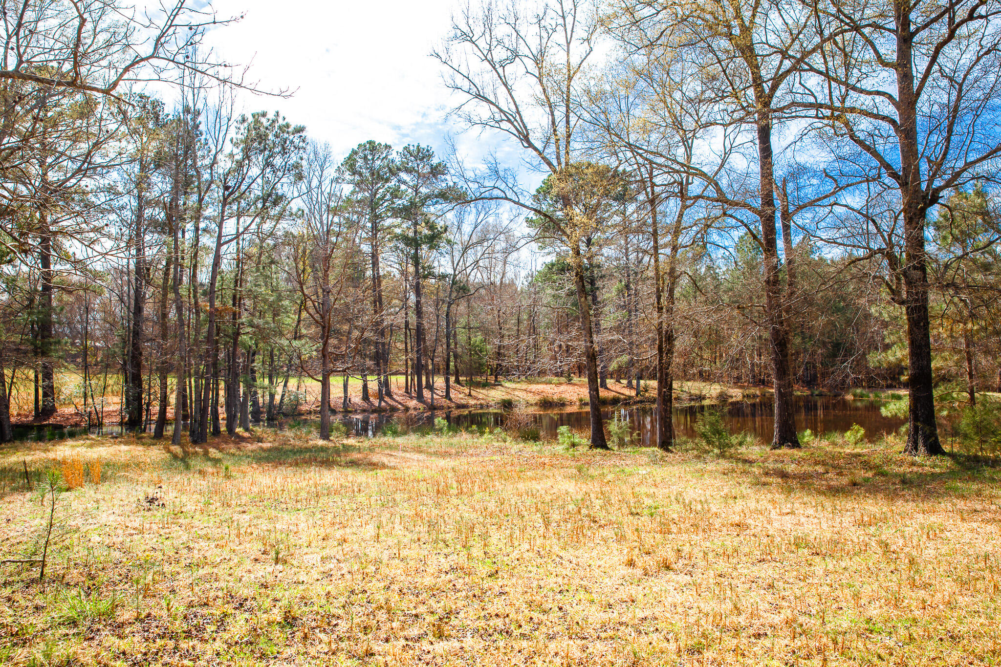 Lot 7 Mistletoe Road Appling, GA 30802 - Photo 4 of 9 IMG_1076