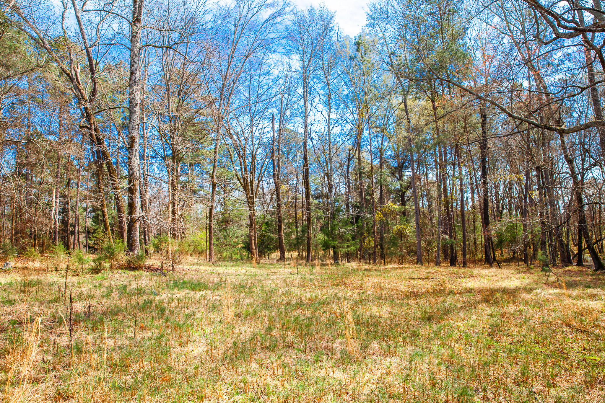 Lot 7 Mistletoe Road Appling, GA 30802 - Photo 5 of 9 IMG_1077