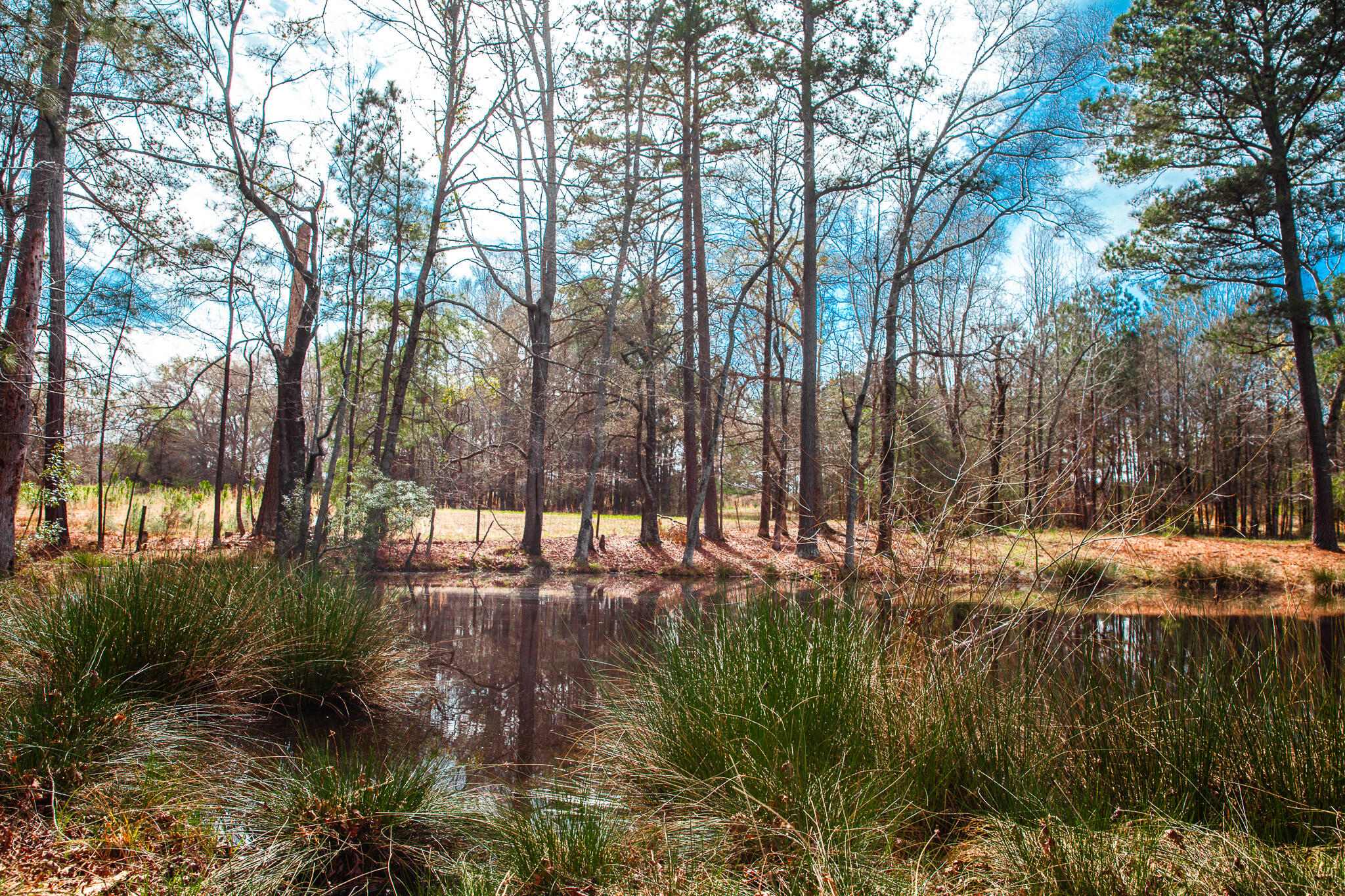 Lot 7 Mistletoe Road Appling, GA 30802 - Photo 6 of 9 IMG_1078