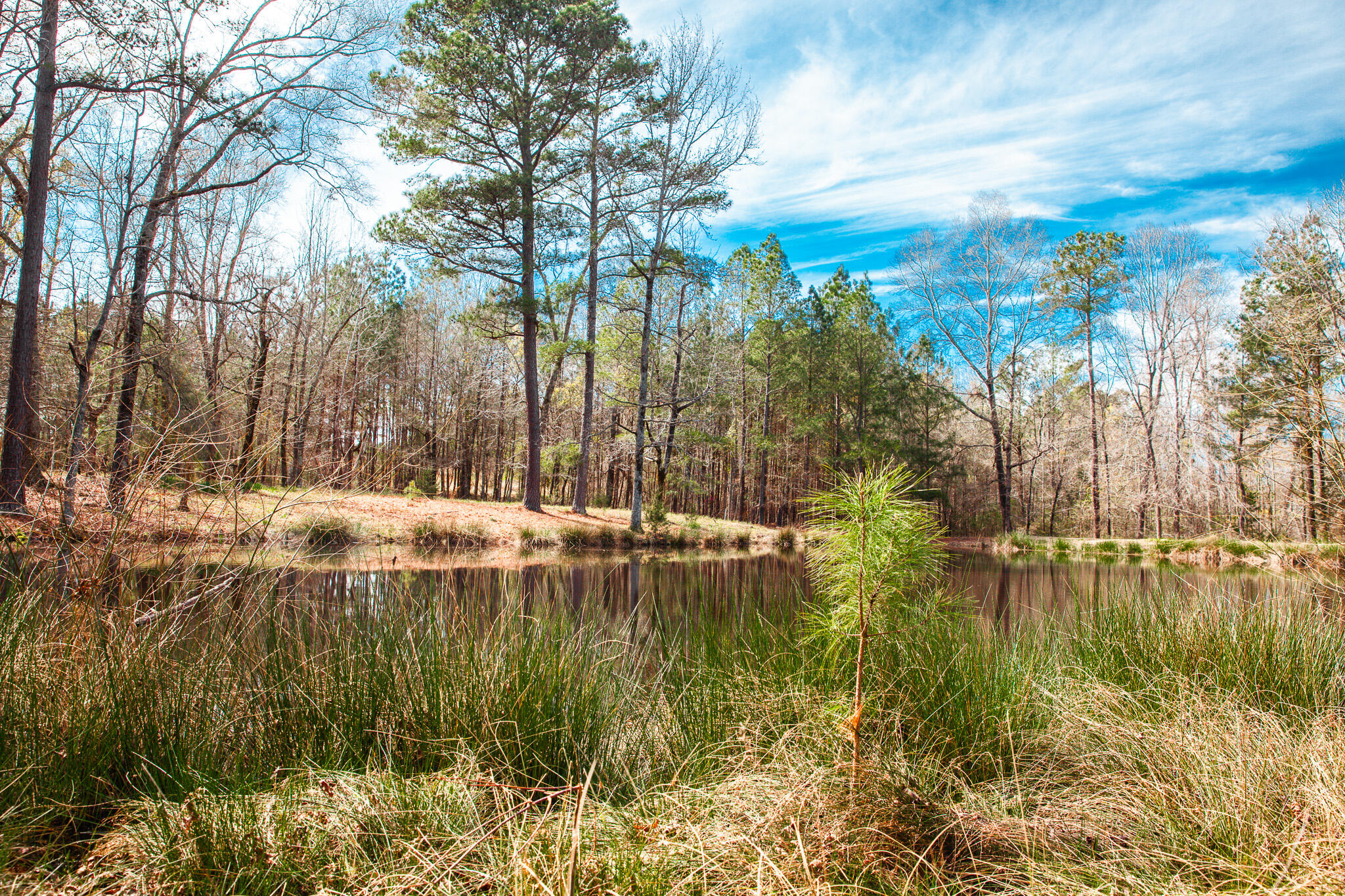 Lot 7 Mistletoe Road Appling, GA 30802 - Photo 7 of 9 IMG_1079