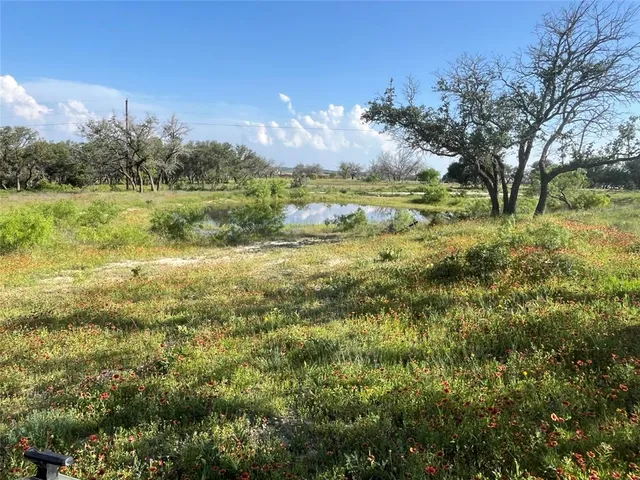 a view of an outdoor space and a yard