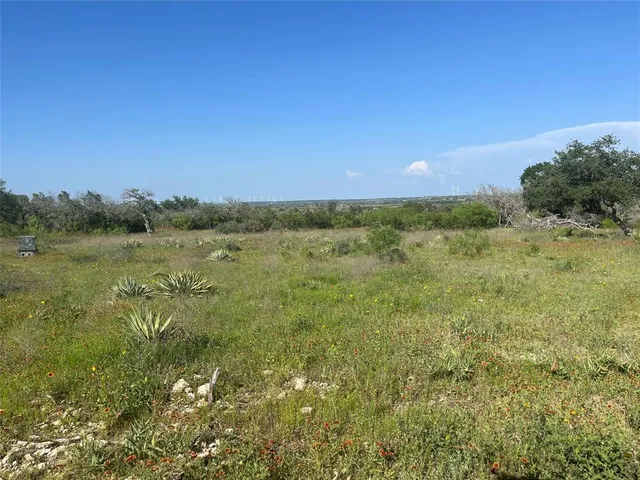 a view of a field with an ocean