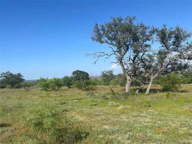 a view of a field with an trees