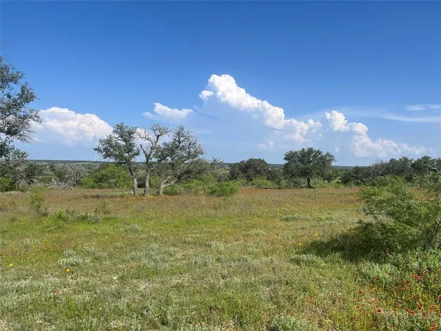 a view of a lake in middle of forest