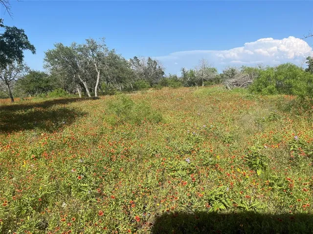 a view of lake with green space
