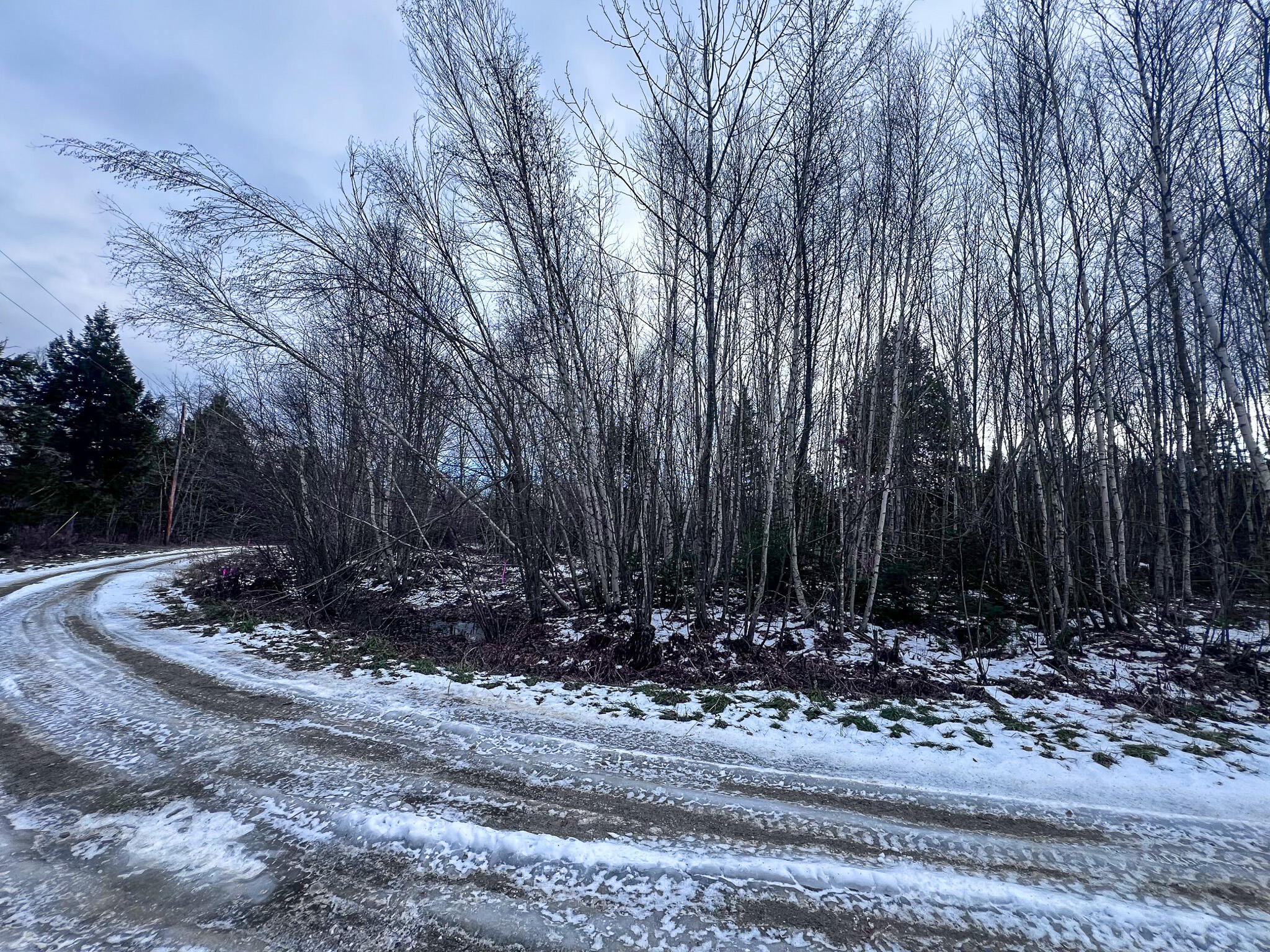 Lot 10 Woodland Ridge Road Danforth, ME 04424 - Photo 1 of 5 IMG_2253