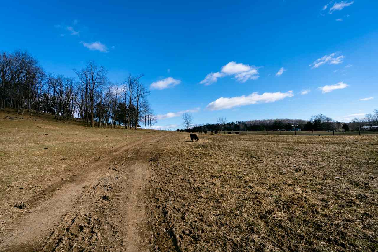 9430 Waggys Creek Road Dayton, VA 22821 - Photo 43 of 48 Gallery Image 43