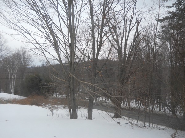 375 Mountain Road Wilbraham, MA 01095 - Photo 13 of 15