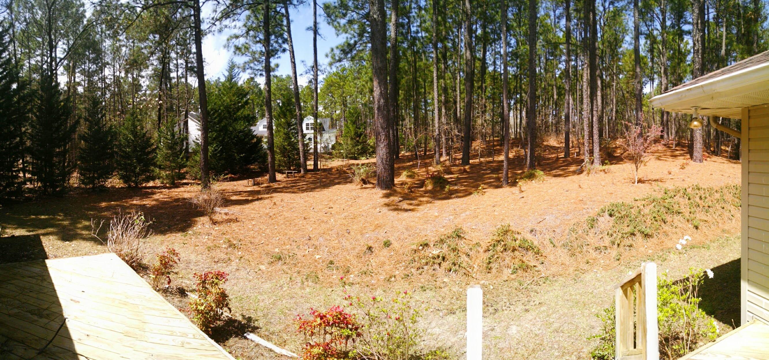 116 Vanore Road West End, NC 27376 - Photo 20 of 21 IMG_20160401_132537237