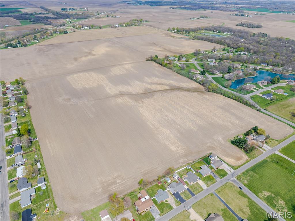 0 Brown Road Brighton, IL 62012 - Photo 6 of 11
