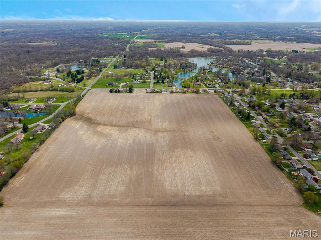 0 Brown Road Brighton, IL 62012 - Photo 10 of 11