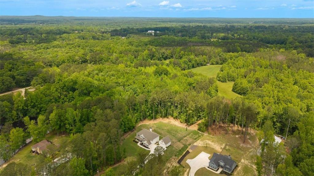 475 Paynes Lake Road Carrollton, GA 30116 - Photo 55 of 61