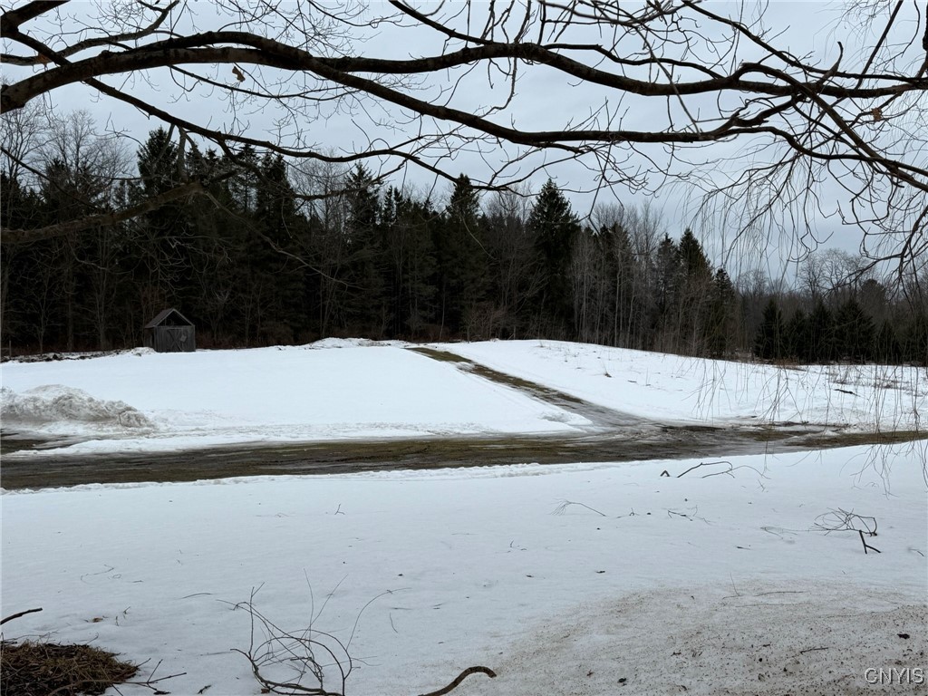 1155 County Rte 41 Richland, NY 13142 - Photo 42 of 43