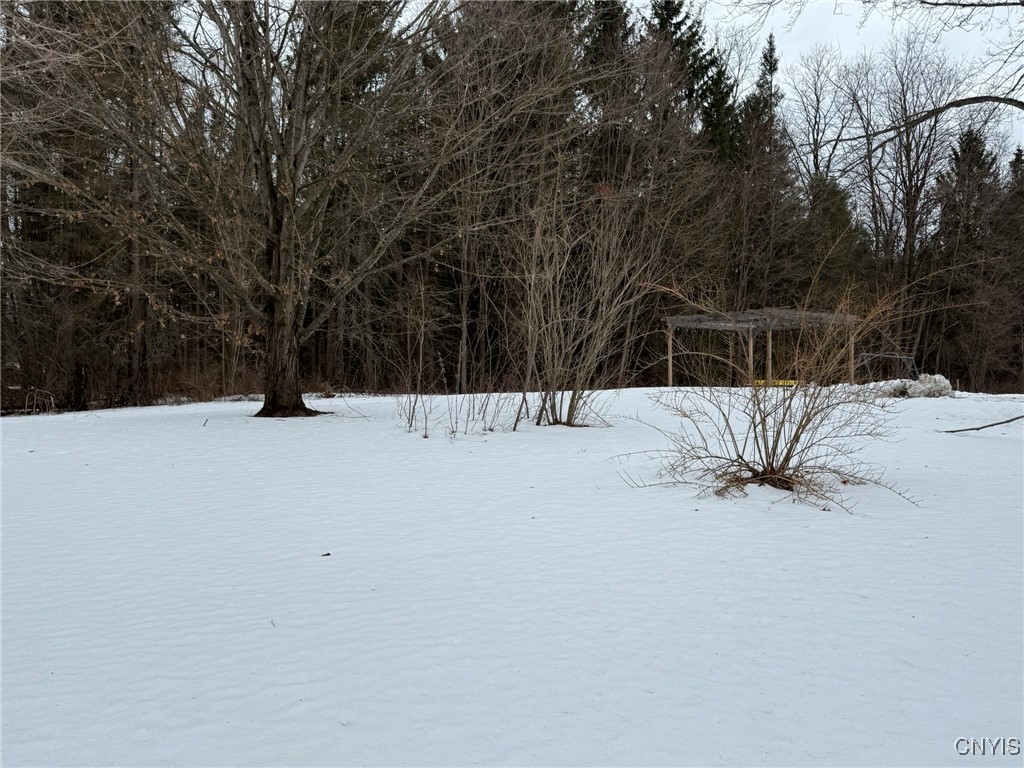 1155 County Rte 41 Richland, NY 13142 - Photo 43 of 43