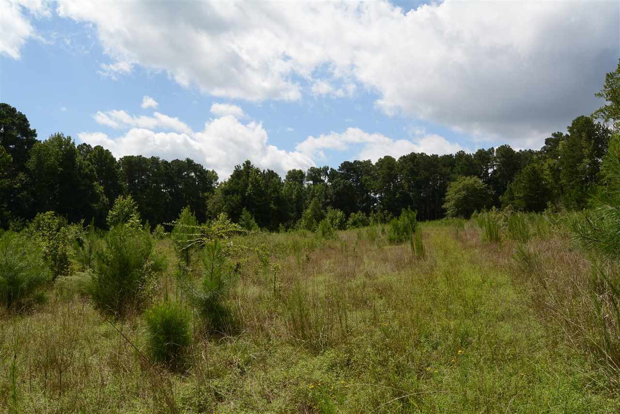 3133 Burlington Mills Road Wake Forest, NC 27587 - Photo 15 of 17 Photo 15