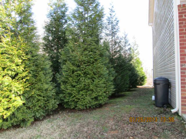 7408 Rice Court Fairview, TN 37062 - Photo 9 of 9 Gallery Image 9