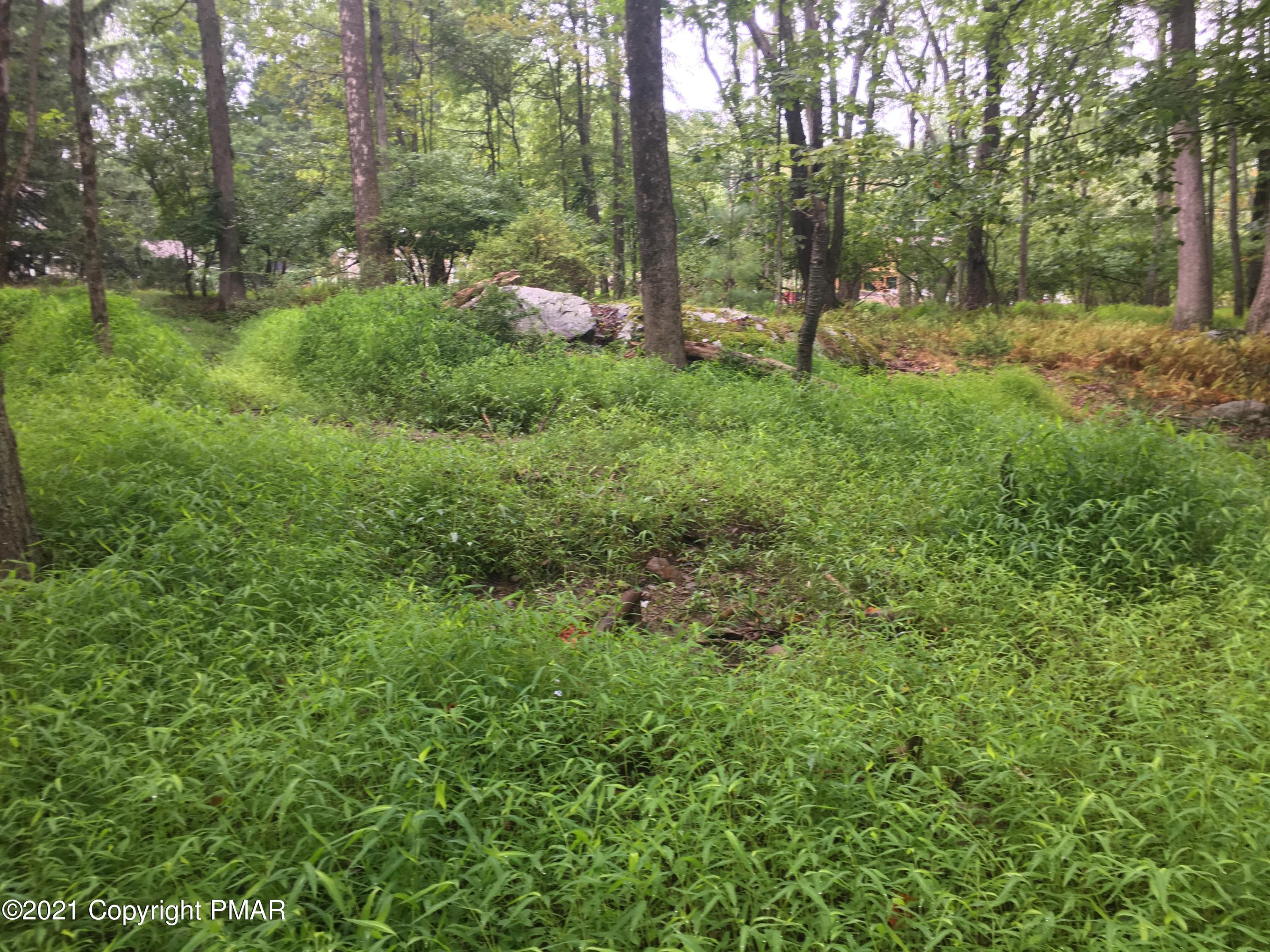 576 Frantz Hill Road Scotrun, PA 18355 - Photo 7 of 8 a view of backyard with green space