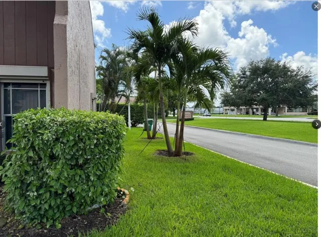 a view of a park with a tree
