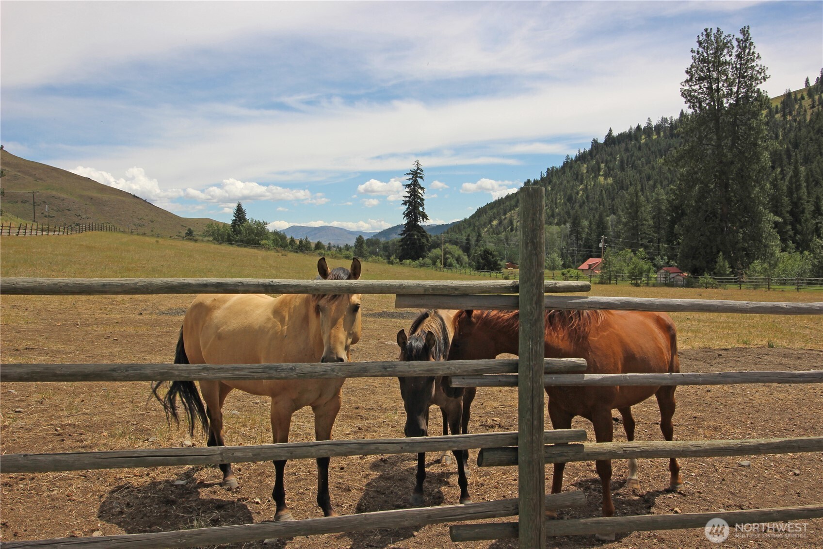 571 Twisp River Road Twisp, WA 98856 - Photo 40 of 40