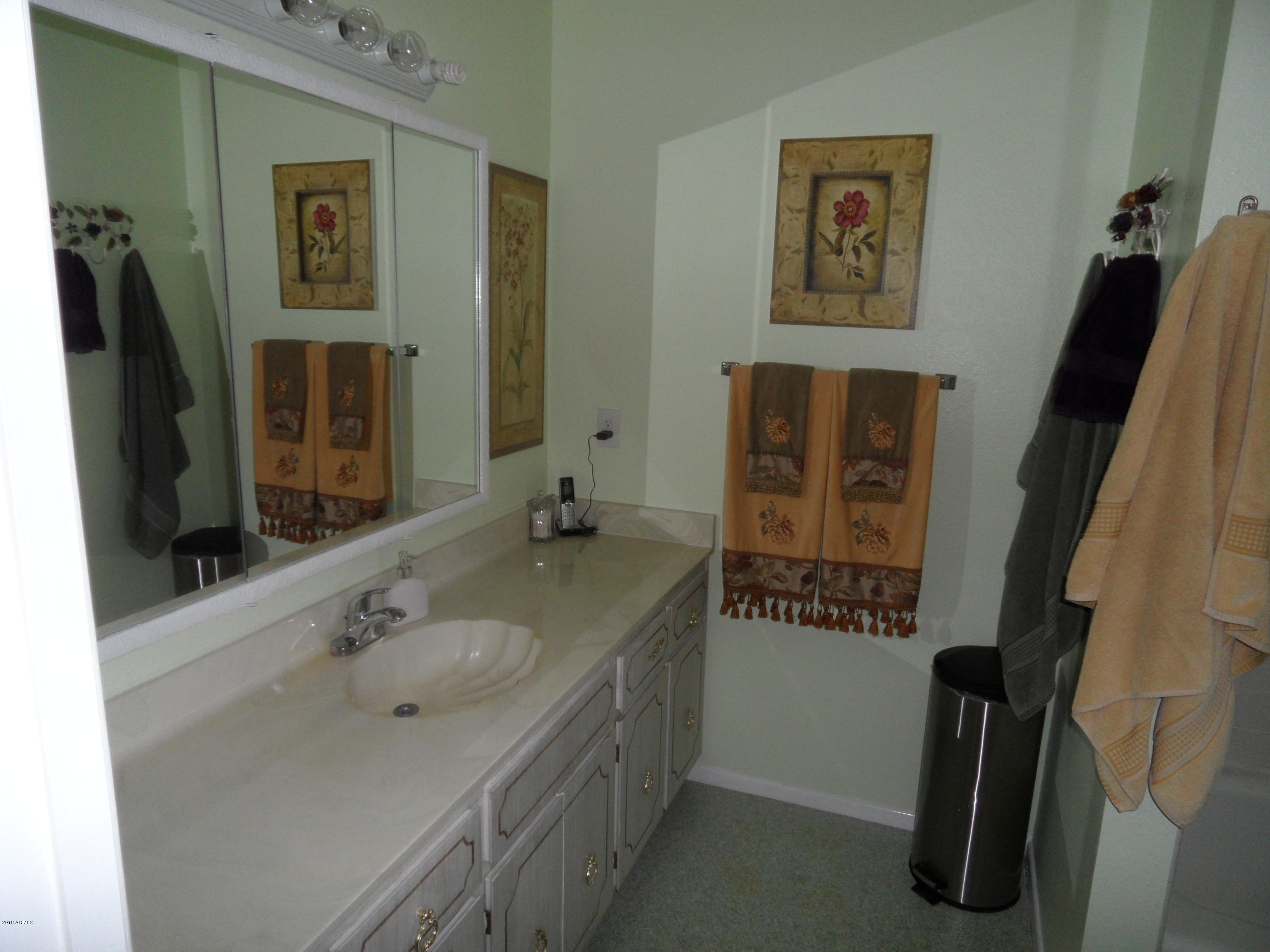 534 South Rochester Mesa, AZ 85206 - Photo 16 of 38 Master Bath