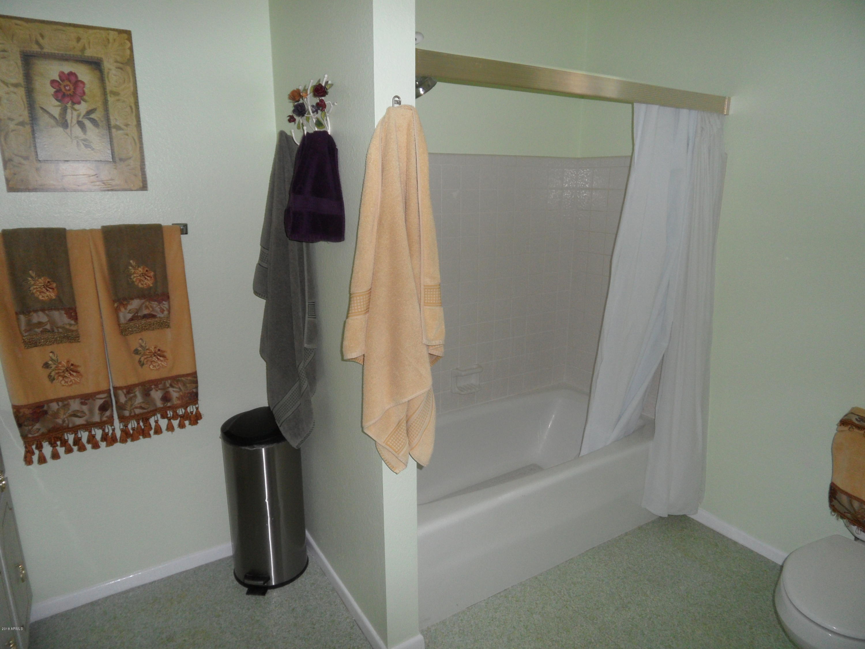 534 South Rochester Mesa, AZ 85206 - Photo 17 of 38 Master Bath