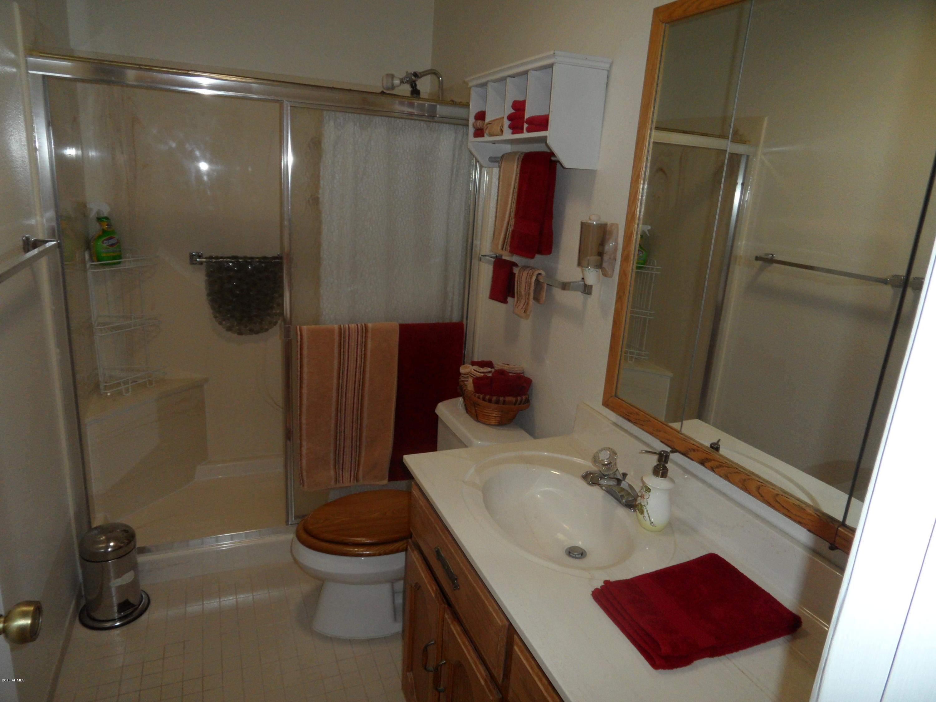 534 South Rochester Mesa, AZ 85206 - Photo 18 of 38 Hall Bath