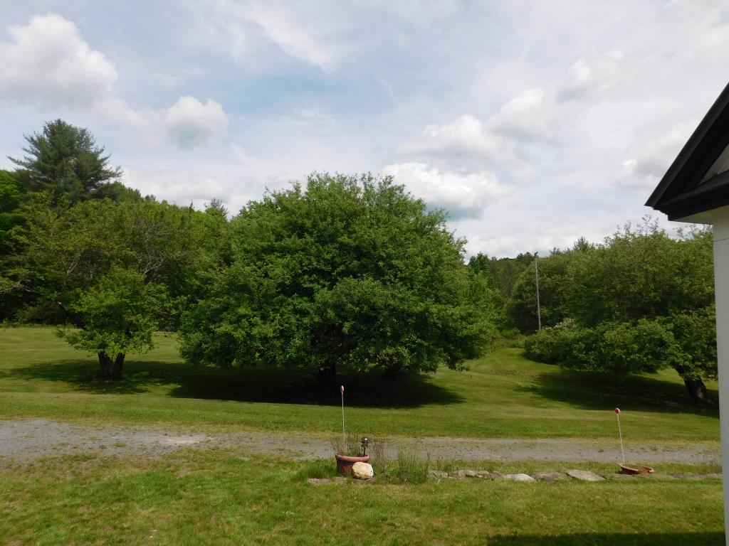 21 Ordway Road Strafford, VT 05072 - Photo 32 of 35