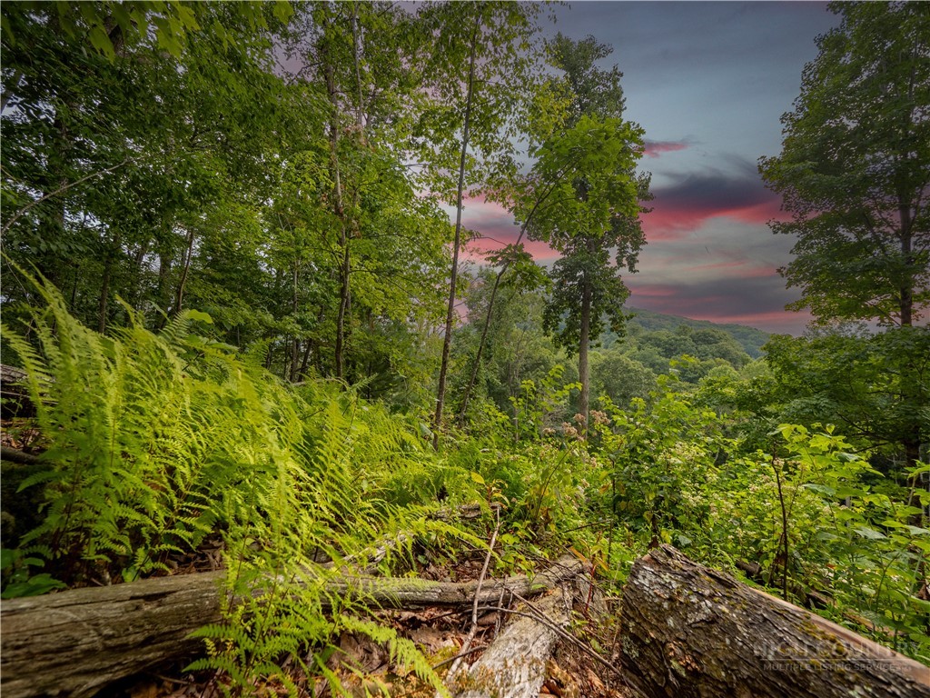 C120 Springwater Lane Banner Elk, NC 28604 - Photo 2 of 13