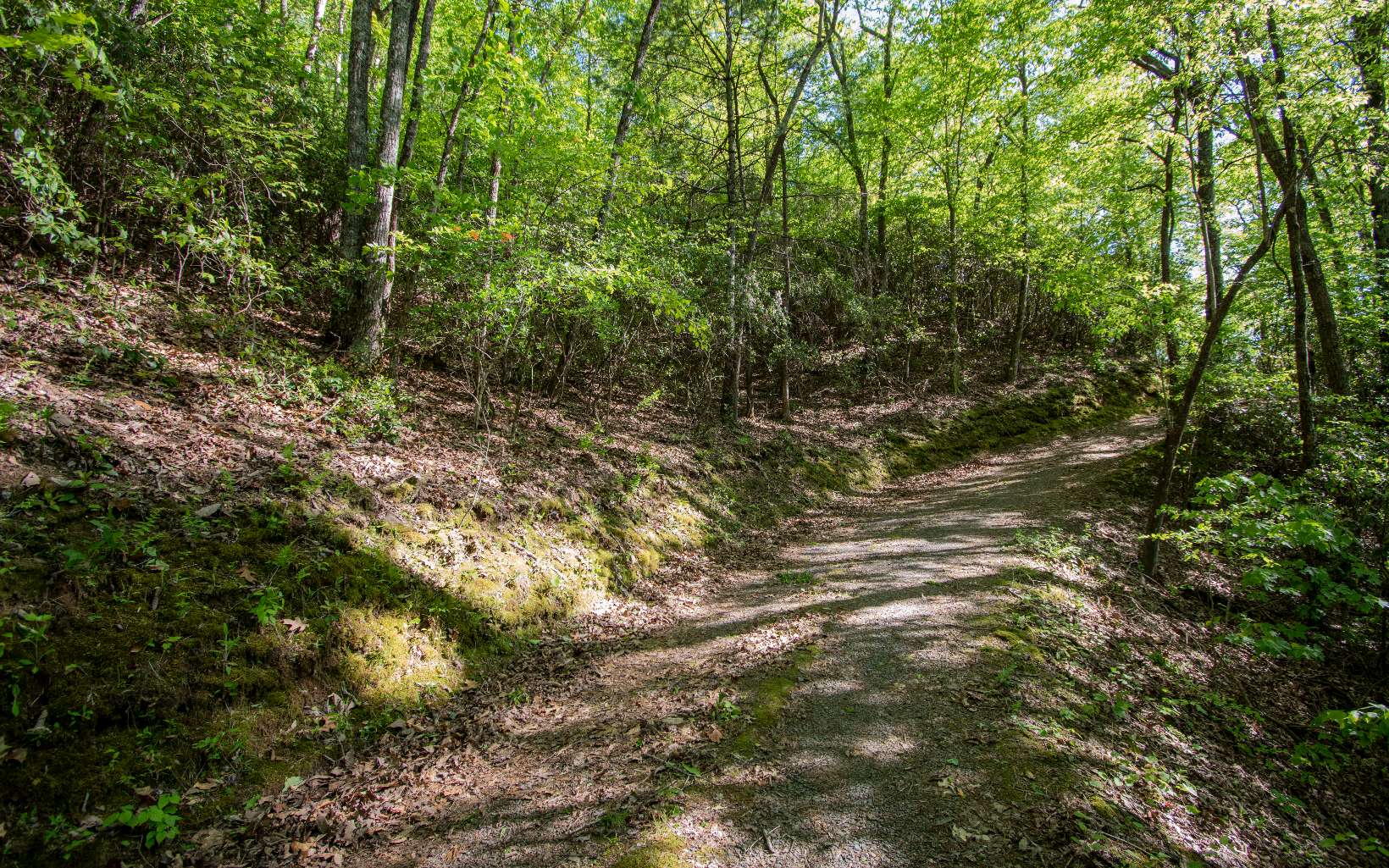 12 Trail Tree Road Murphy, NC 28906 - Photo 2 of 7 Additional View
