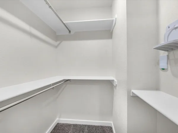 a close up of a shower
