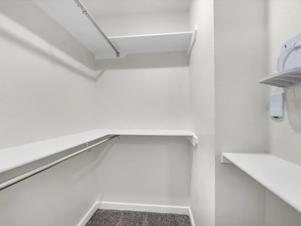 a close up of a shower