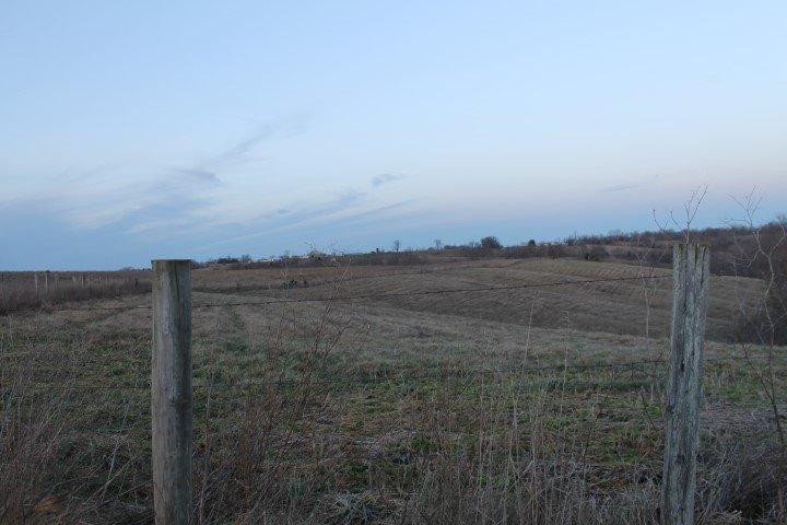 680 Upper Lick Road Moorefield, KY 40350 - Photo 15 of 27 Photo 15