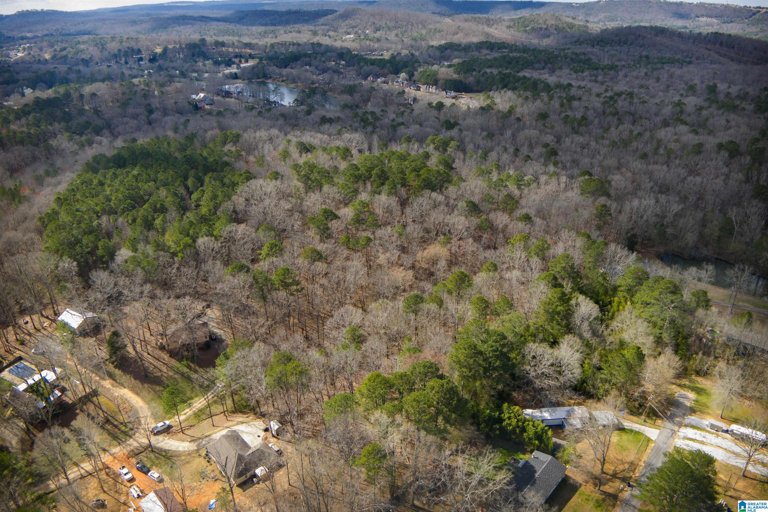 0 Norman Street Springville, AL 35146 - Photo 4 of 15