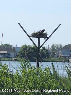165 Riddle Avenue, Unit 5 Long Branch, NJ 07740 - Photo 62 of 62 WATCH THE OSPREY