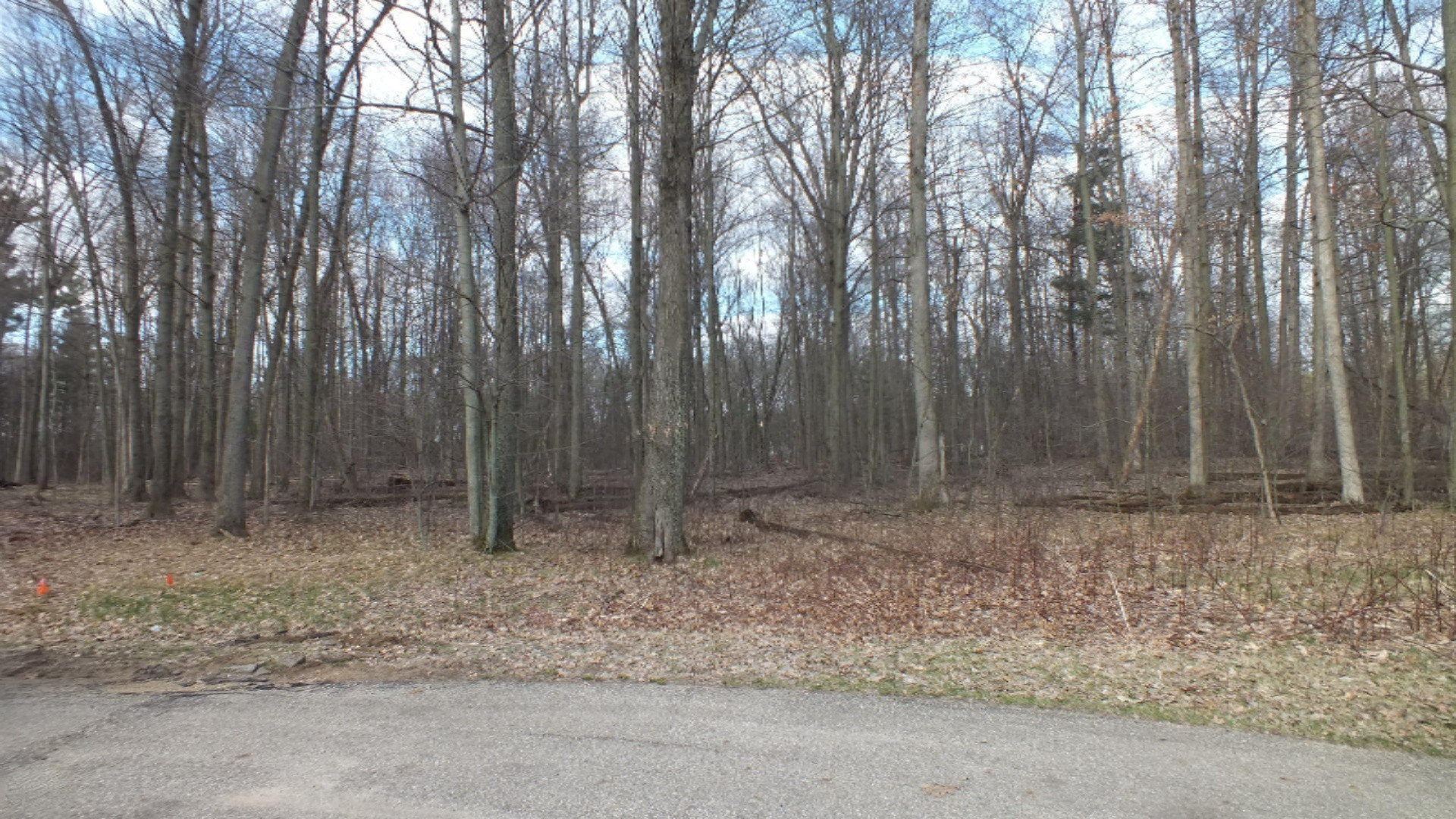 3481 Jeffrey Spur, Unit LOT 16 Hamilton, MI 49419 - Photo 5 of 9 Lot 16